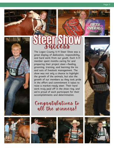 steer show